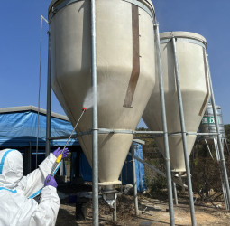 南市肉鵝場檢出禽流感  動保處撲殺處置圍堵病原擴散