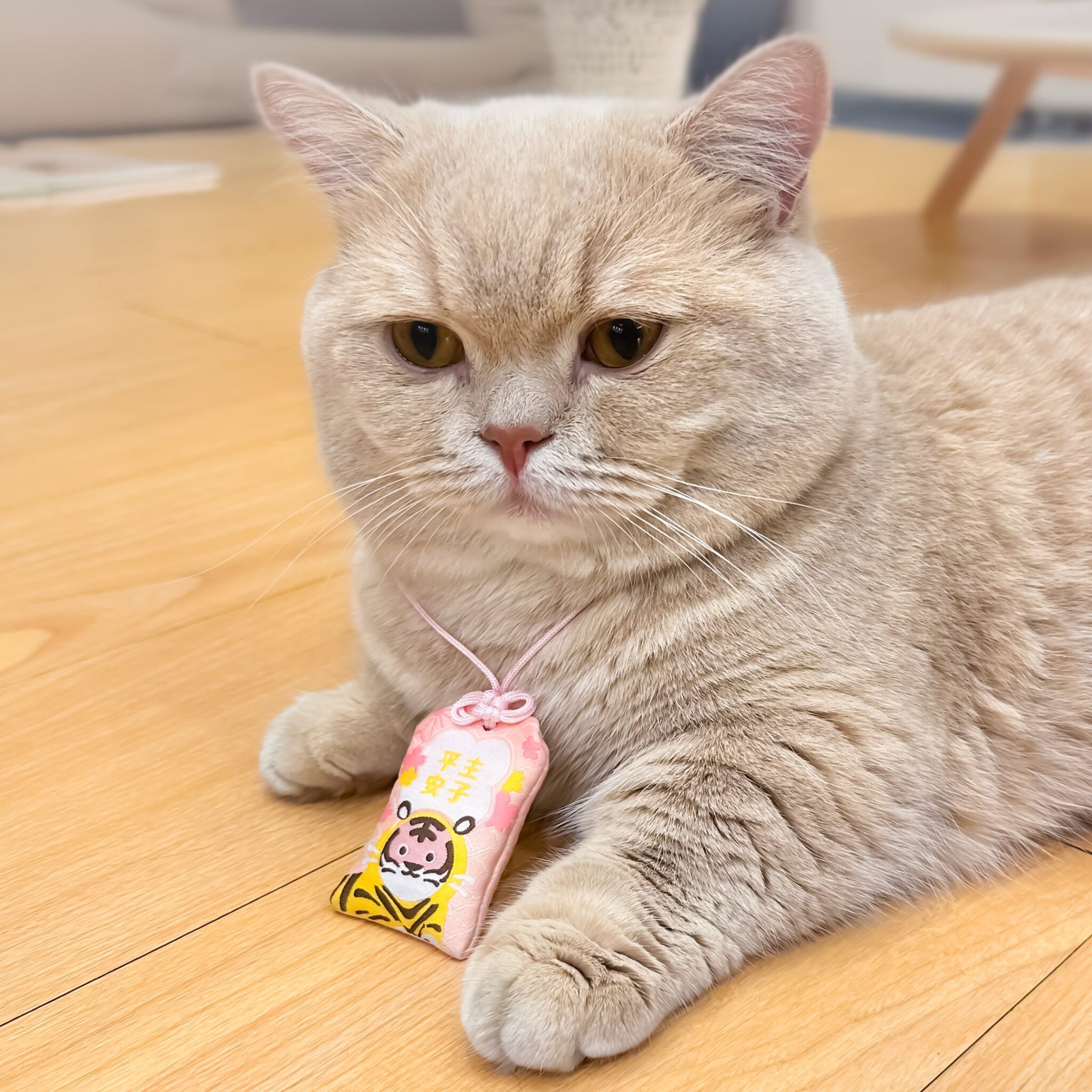 南港寵物展亮點搶先看 基因篩檢、清潔神器、萌系穿搭一次滿足