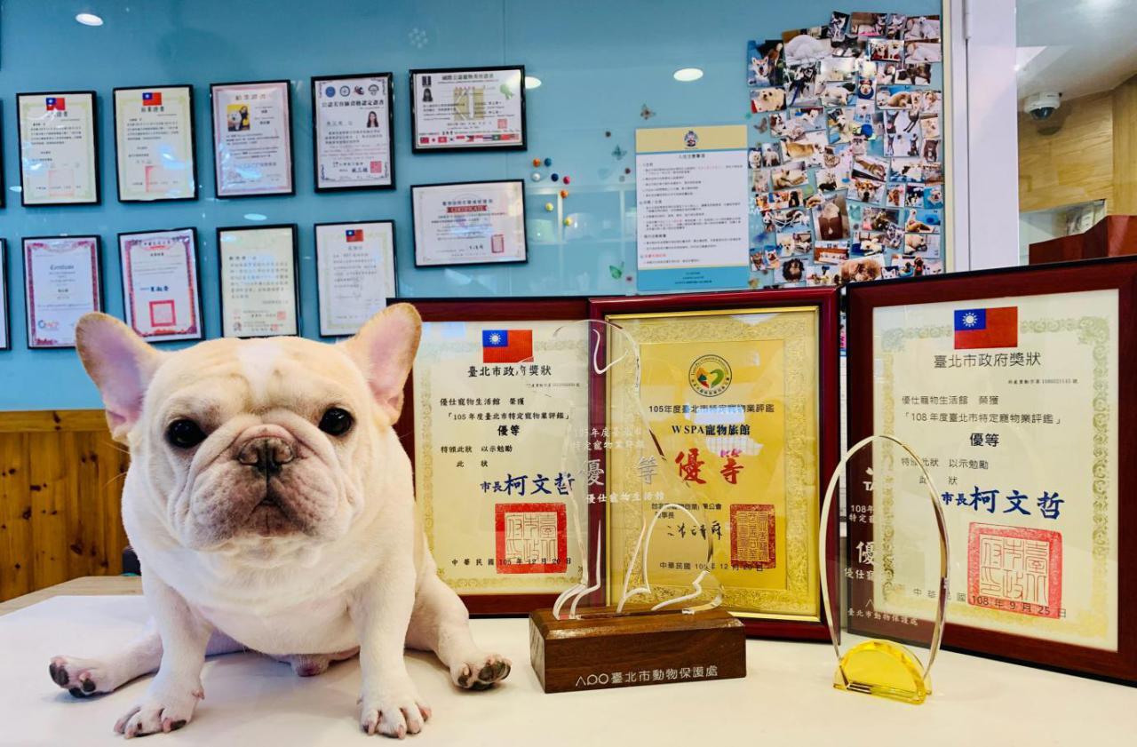 台北大安區寵物旅館推薦 不關籠住宿與低敏寵物美容 打造毛孩五星級享受