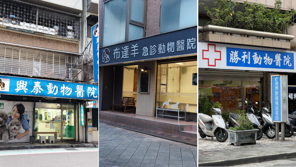 從陪伴走向照護 寵物醫療逐步融入現代生活日常