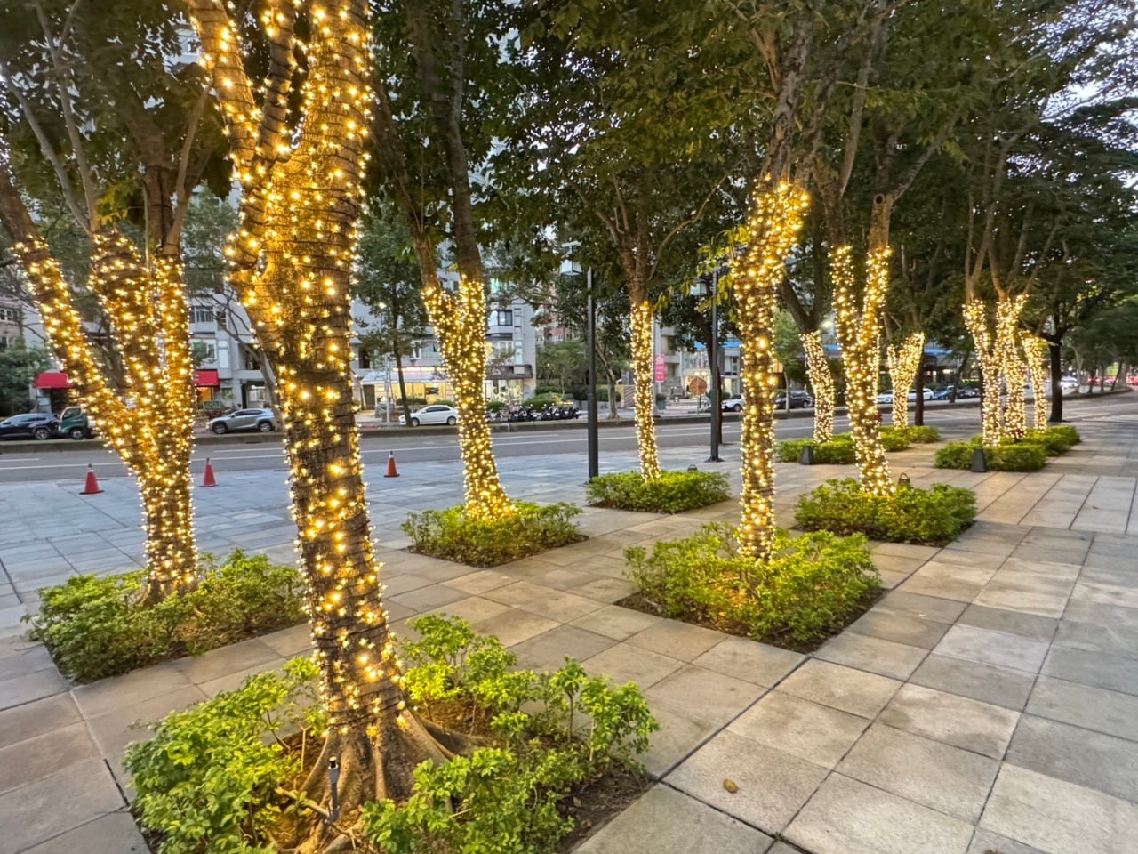 點亮聖誕光影季 用專業打造最溫暖節慶氛圍