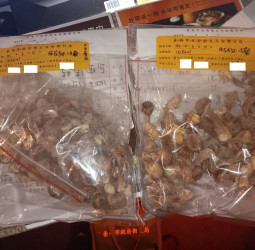 澎湖海膽再度驗出重金屬超標 漁業署：已請縣府追溯、釐清來源 調整抽驗頻率