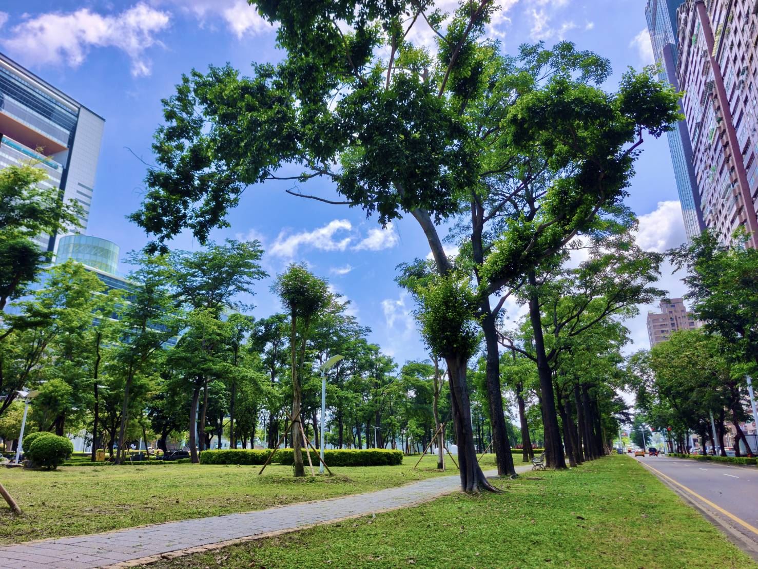 颱風重創後重生！高雄市亞灣新光園道改善8月完工　休閒與景觀全面升級亮點曝光