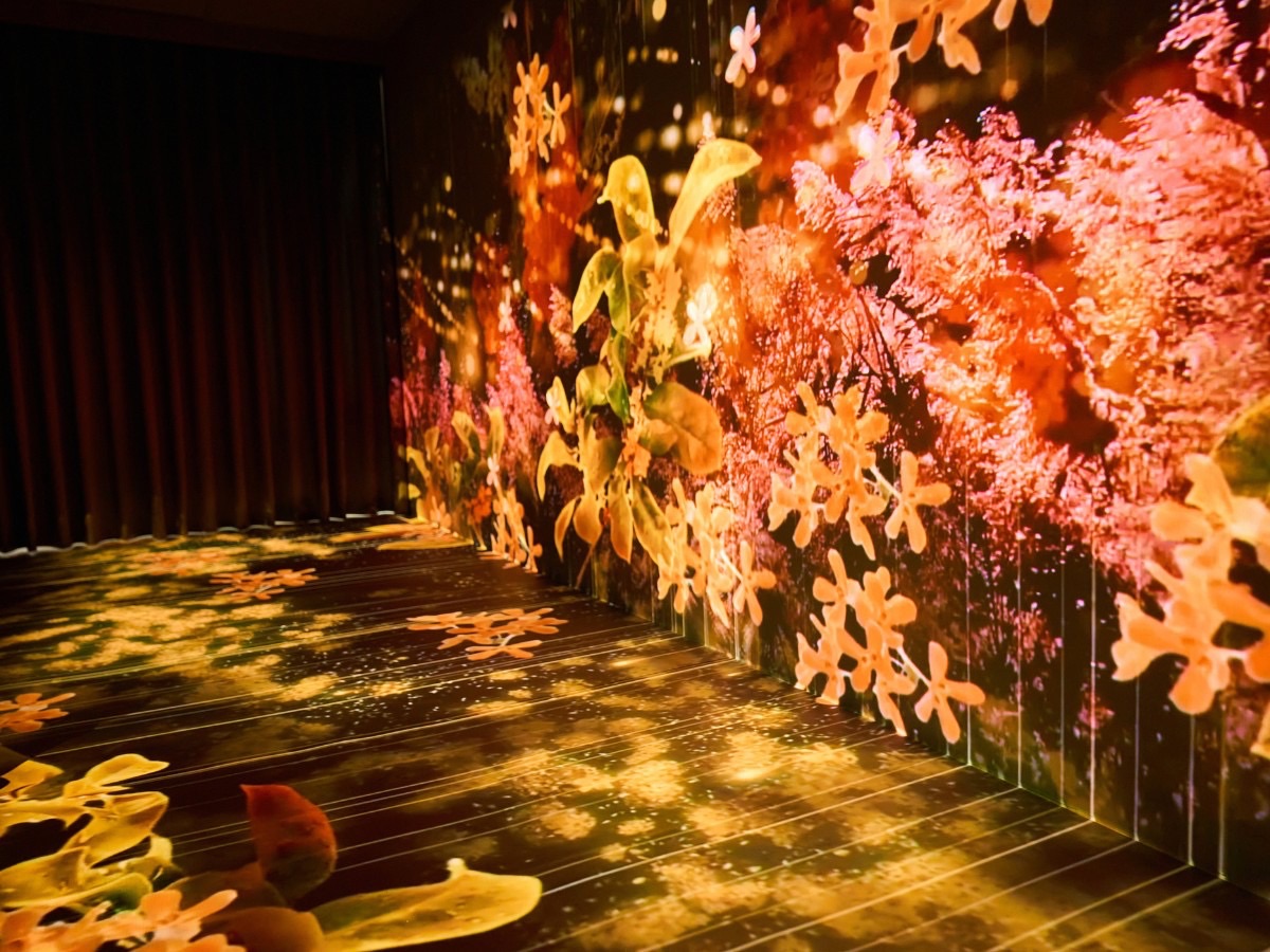 經濟部中企署推動5G以大帶小應用　協助8,700家中小企業驗證數位獲利模式