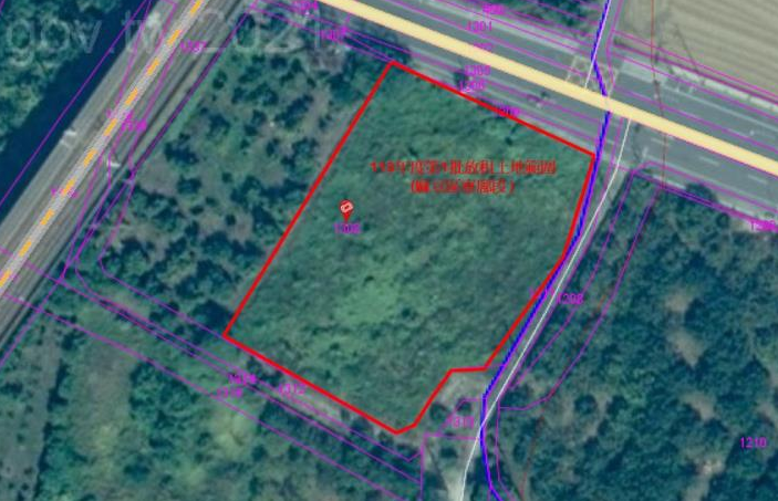 黃偉哲市長支持青農返鄉 113年臺南市市有耕地放租公告詳情