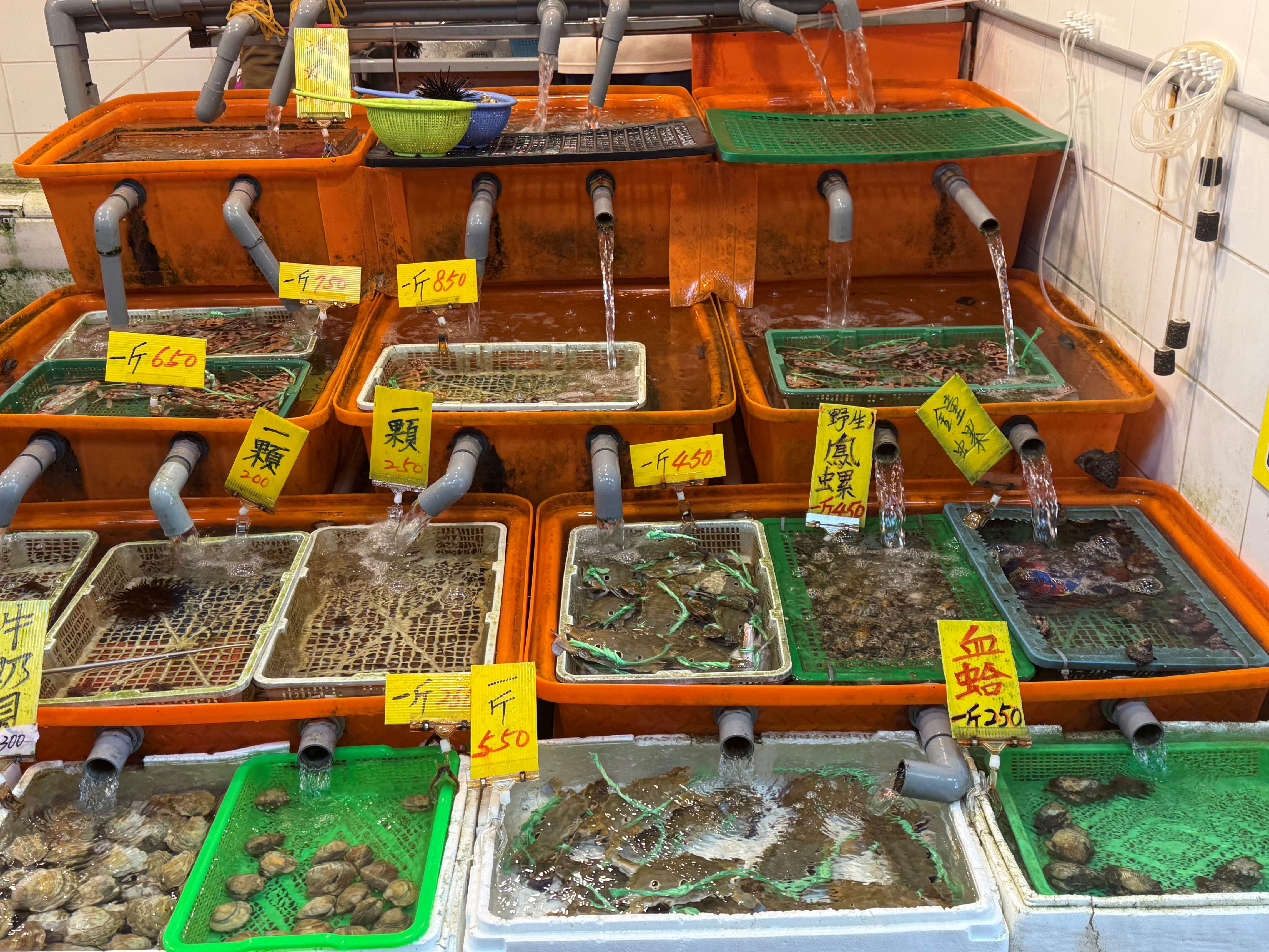 新北萬里蟹季進入尾聲 龜吼漁夫市集邀民眾把握最後品蟹機會 體驗秋冬海鮮盛宴