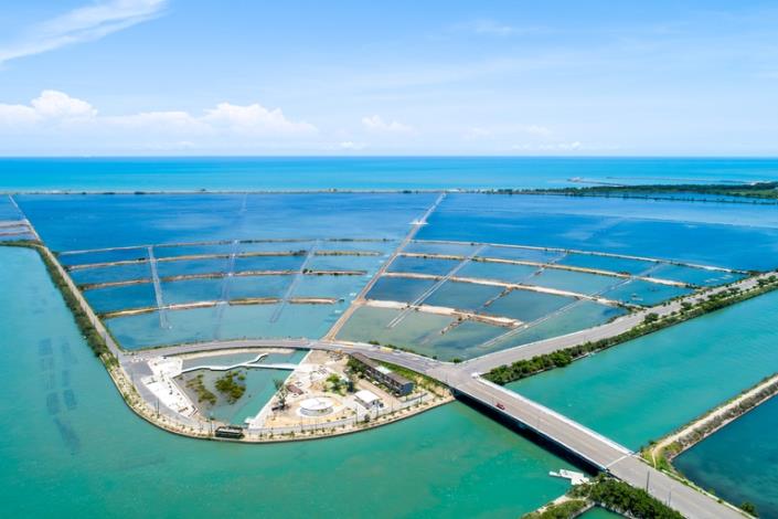 2025端午連假怎麼玩？來臺南賞龍舟吃粽子、美食花海一次滿足