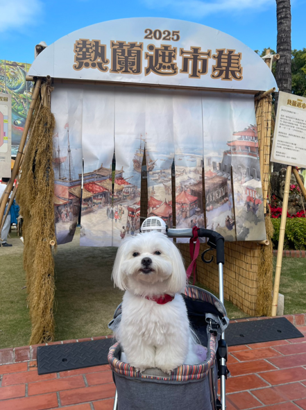 臺南文化景點推出寵物友善活動！帶寵物入園抽好禮，豪禮送不停！