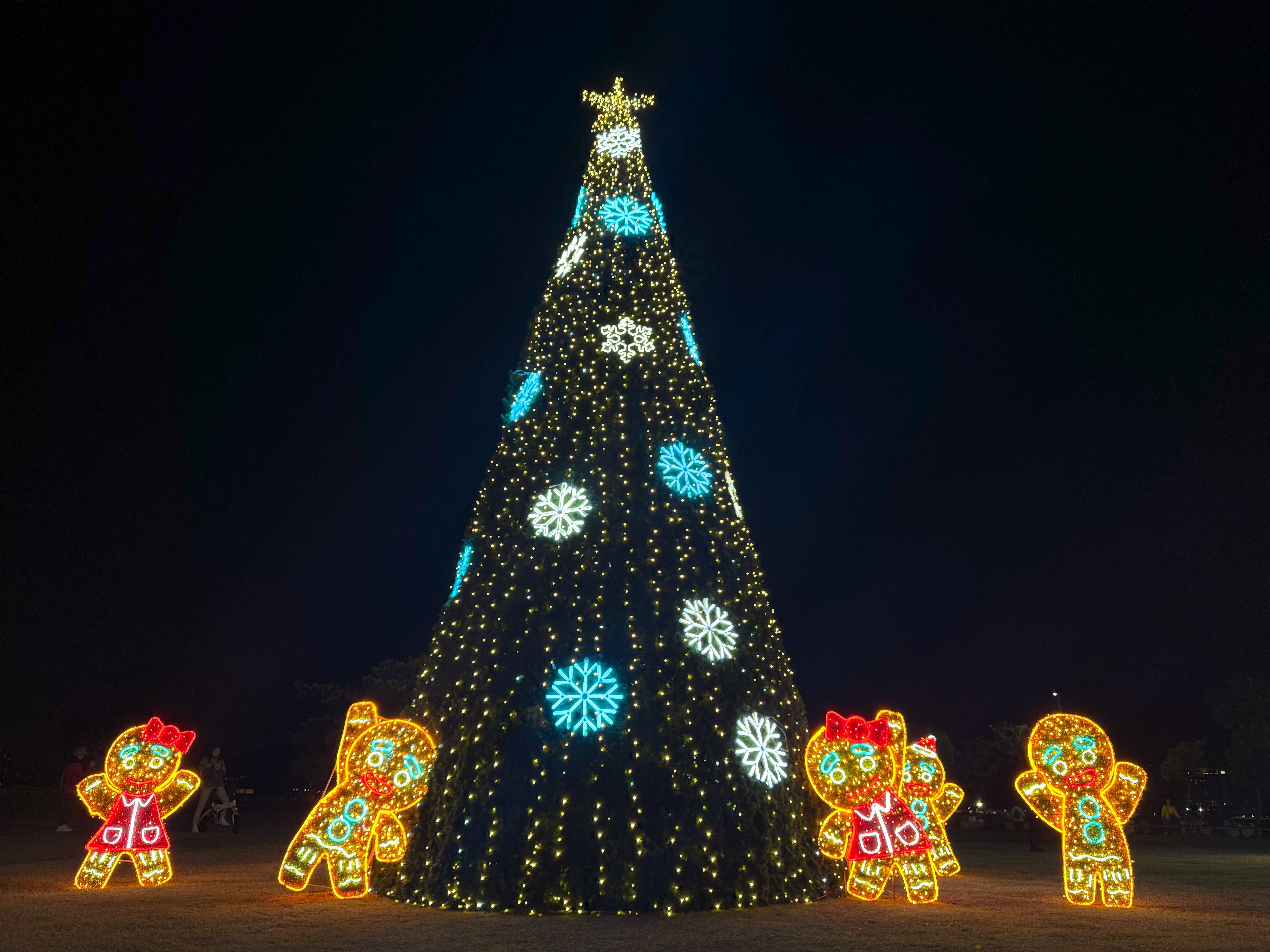 新北市冬季觀光重頭戲登場　淡水金色水岸六大主題光雕12月20日亮燈點亮浪漫河岸夜景