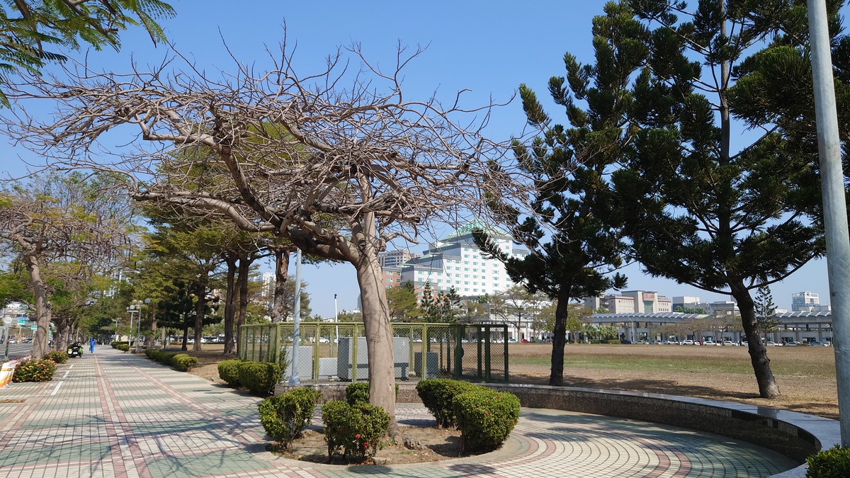 臺南安平永華市政中心周邊火熱！高雄品牌建商進駐打造新地標