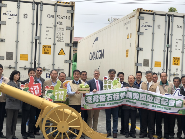 臺南芒果、芭樂成功叩關歐盟！臺南市府與中央攜手拓展農產外銷新局