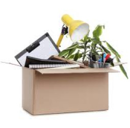 特斯拉老闆馬斯克主導US美國政府效率部DOGE展開大規模裁員 引發員工不安與爭議