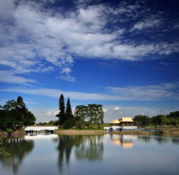 馬到成功迎新春首選臺南春節樂購遊，新化年貨大街結合虎頭埤與奇美博物館