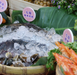 臺南四季辦桌夏季場移師官田登場　臺南市長黃偉哲推動美食觀光品牌再升級