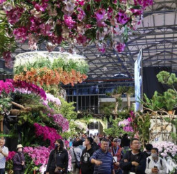 婦女節春遊新亮點　AI花海邂逅春日浪漫、2026臺灣國際蘭展串聯燈會打造蘭花賞花新體驗