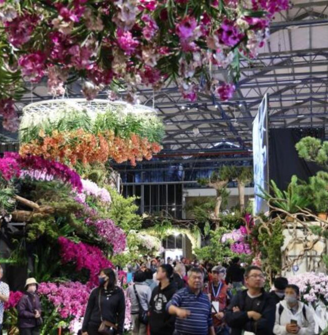 婦女節春遊新亮點　AI花海邂逅春日浪漫、2026臺灣國際蘭展串聯燈會打造蘭花賞花新體驗